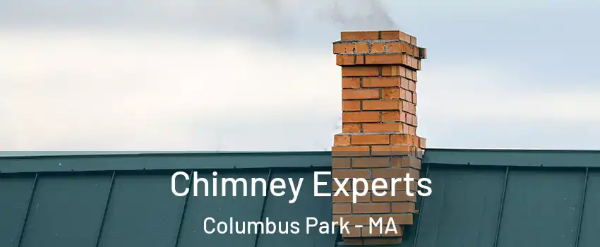 Chimney Experts Columbus Park - MA