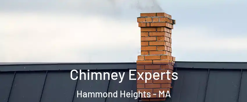 Chimney Experts Hammond Heights - MA