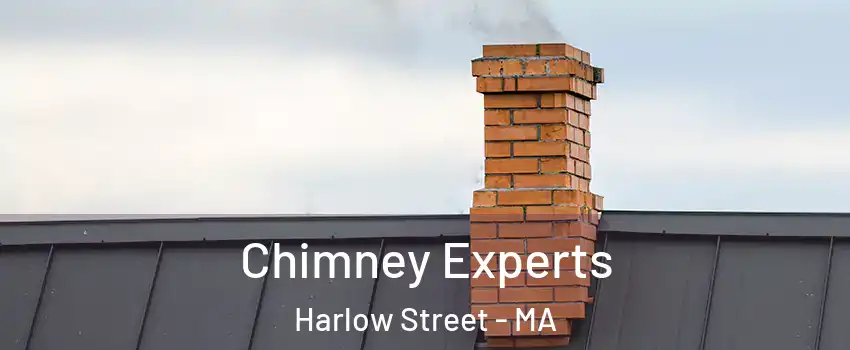 Chimney Experts Harlow Street - MA