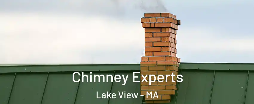 Chimney Experts Lake View - MA