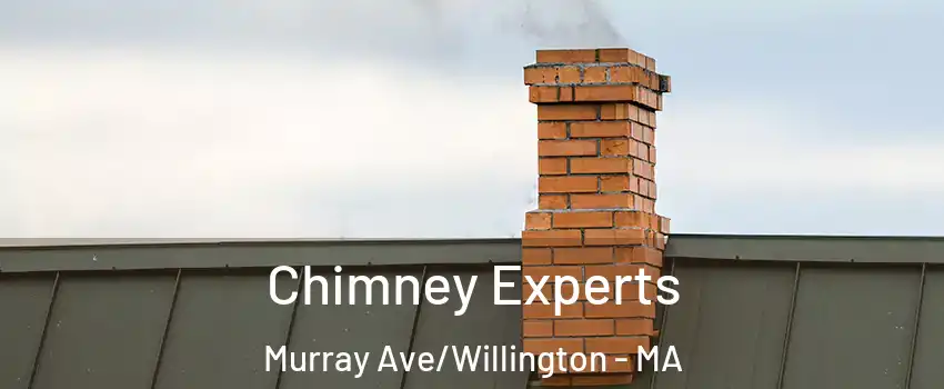 Chimney Experts Murray Ave/Willington - MA