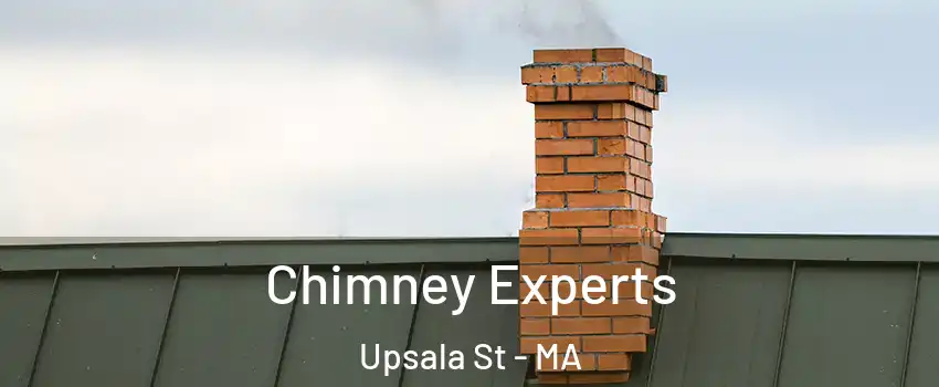 Chimney Experts Upsala St - MA