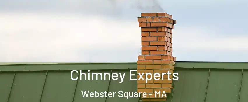 Chimney Experts Webster Square - MA