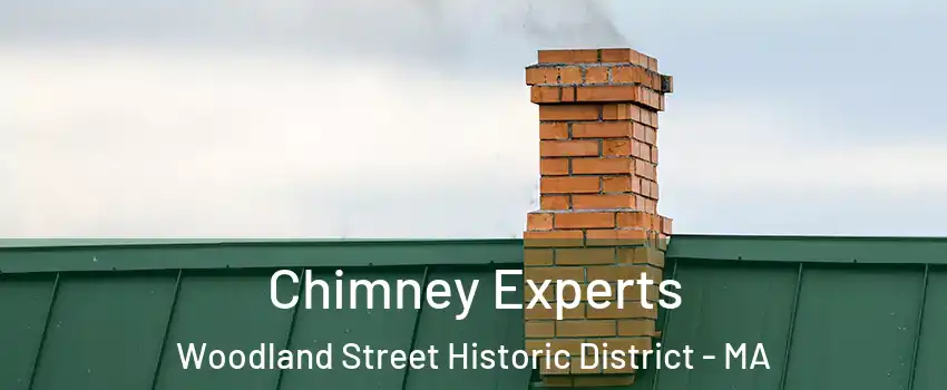 Chimney Experts Woodland Street Historic District - MA