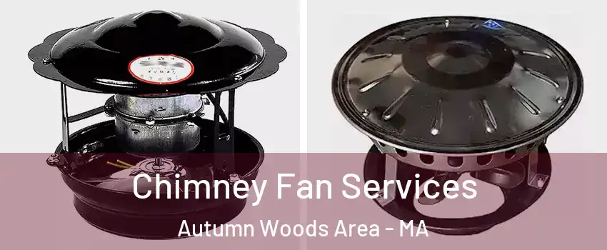 Chimney Fan Services Autumn Woods Area - MA