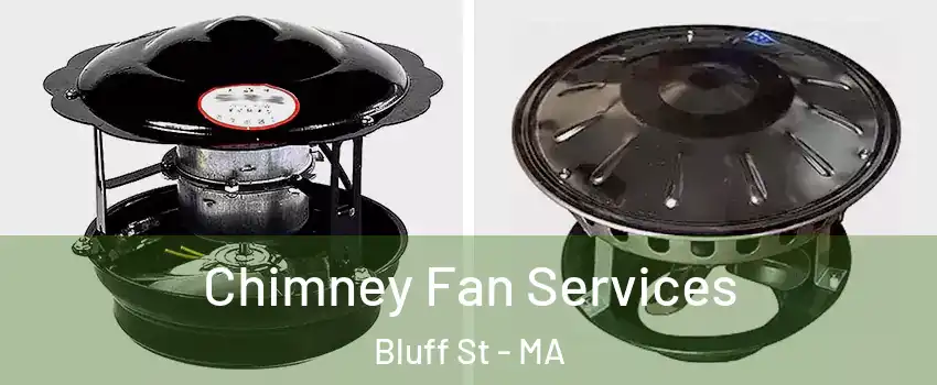 Chimney Fan Services Bluff St - MA