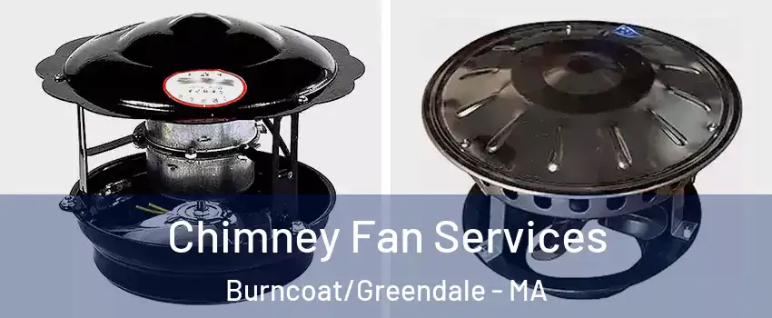 Chimney Fan Services Burncoat/Greendale - MA