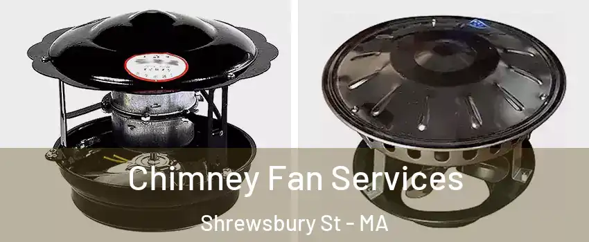 Chimney Fan Services Shrewsbury St - MA