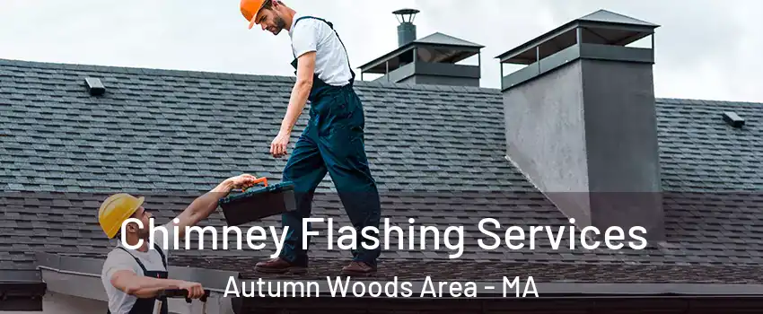 Chimney Flashing Services Autumn Woods Area - MA