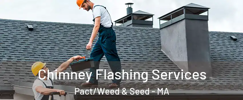 Chimney Flashing Services Pact/Weed & Seed - MA