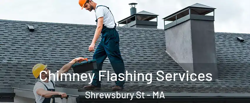 Chimney Flashing Services Shrewsbury St - MA