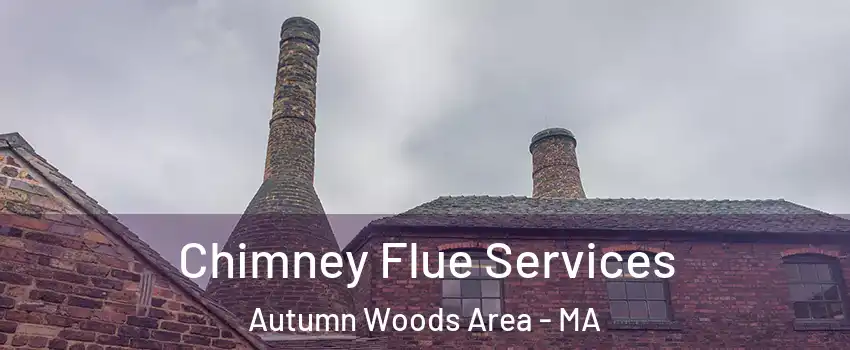 Chimney Flue Services Autumn Woods Area - MA