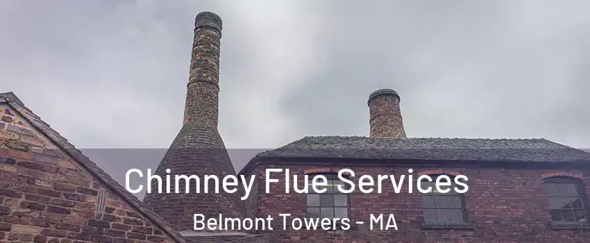 Chimney Flue Services Belmont Towers - MA