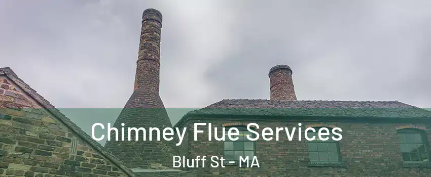 Chimney Flue Services Bluff St - MA