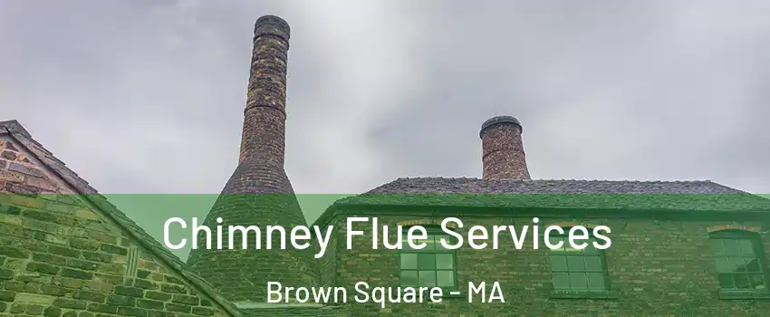 Chimney Flue Services Brown Square - MA