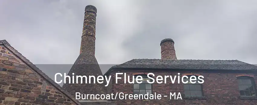 Chimney Flue Services Burncoat/Greendale - MA