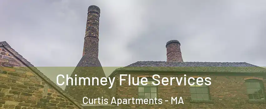 Chimney Flue Services Curtis Apartments - MA