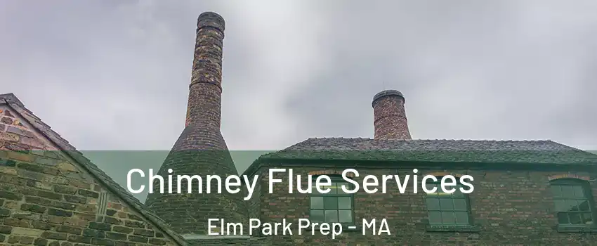 Chimney Flue Services Elm Park Prep - MA