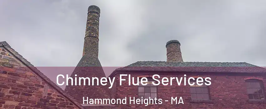 Chimney Flue Services Hammond Heights - MA