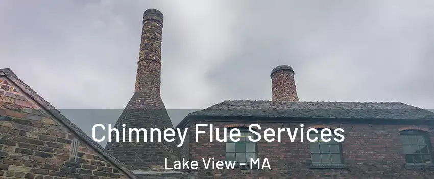 Chimney Flue Services Lake View - MA