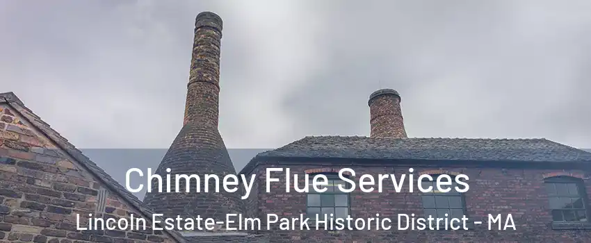 Chimney Flue Services Lincoln Estate-Elm Park Historic District - MA