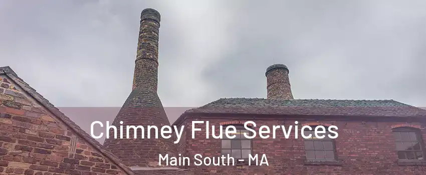 Chimney Flue Services Main South - MA