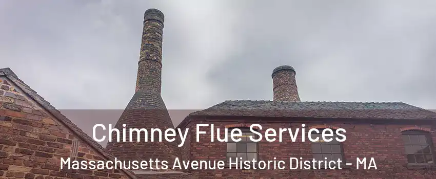 Chimney Flue Services Massachusetts Avenue Historic District - MA