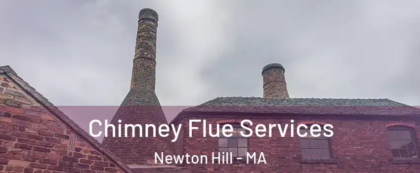 Chimney Flue Services Newton Hill - MA