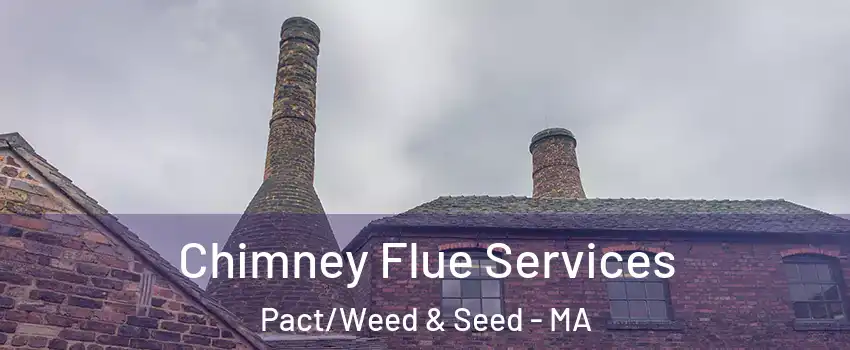 Chimney Flue Services Pact/Weed & Seed - MA