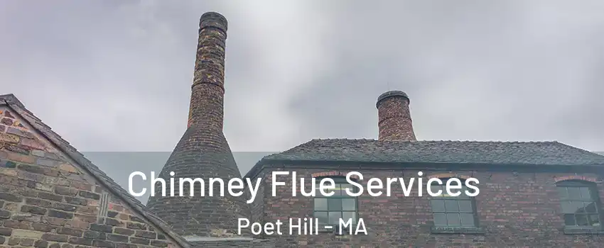 Chimney Flue Services Poet Hill - MA