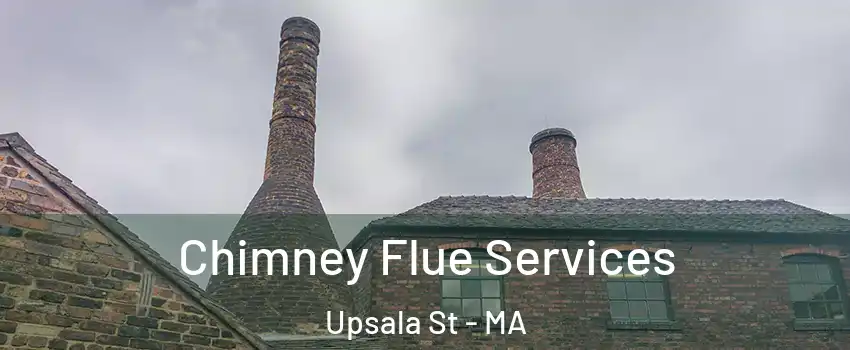 Chimney Flue Services Upsala St - MA