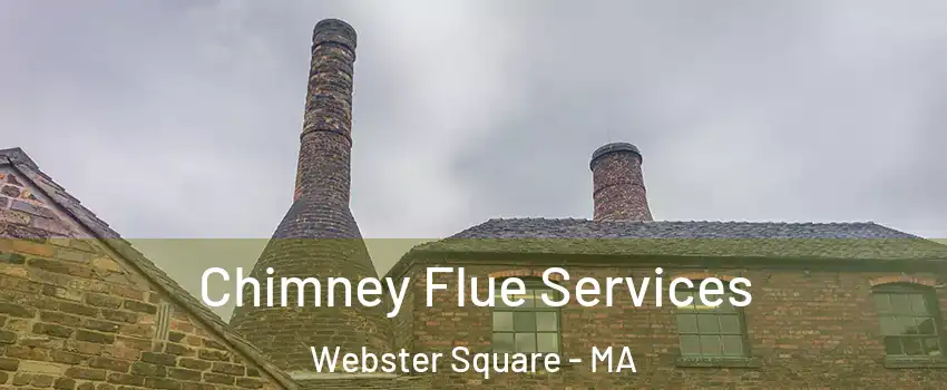 Chimney Flue Services Webster Square - MA