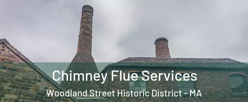 Chimney Flue Services Woodland Street Historic District - MA