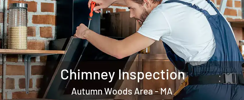 Chimney Inspection Autumn Woods Area - MA