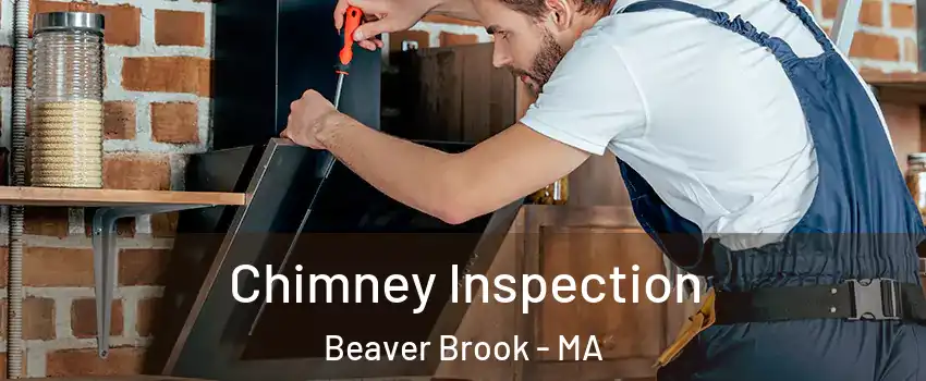 Chimney Inspection Beaver Brook - MA