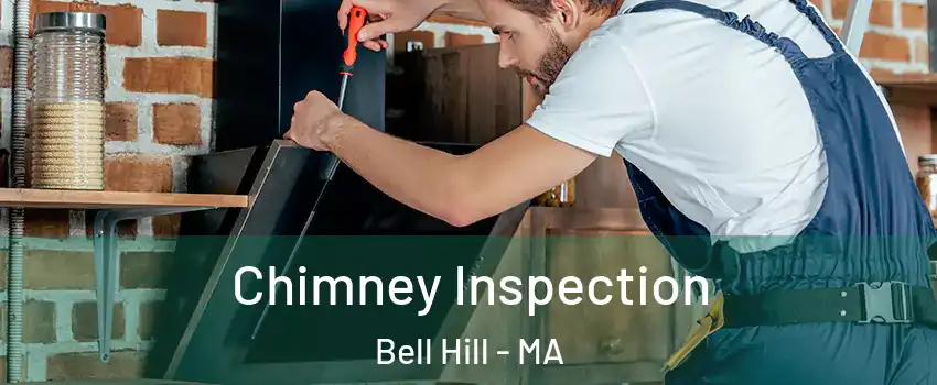 Chimney Inspection Bell Hill - MA