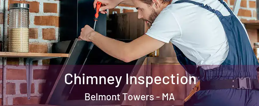 Chimney Inspection Belmont Towers - MA