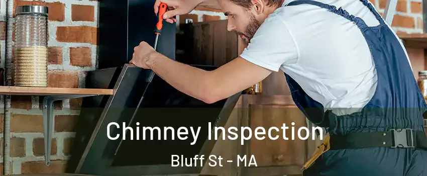 Chimney Inspection Bluff St - MA