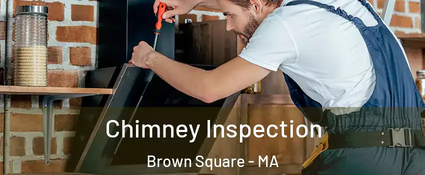 Chimney Inspection Brown Square - MA