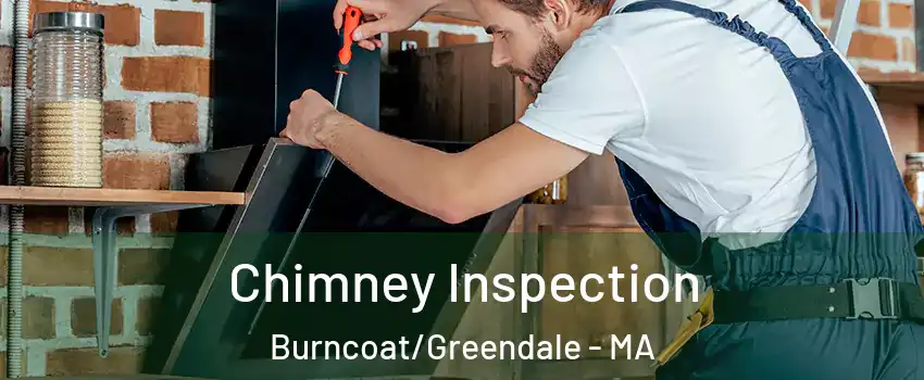 Chimney Inspection Burncoat/Greendale - MA