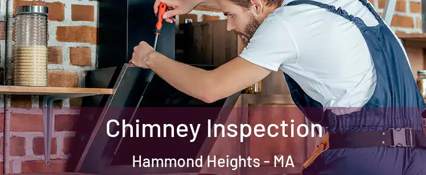 Chimney Inspection Hammond Heights - MA