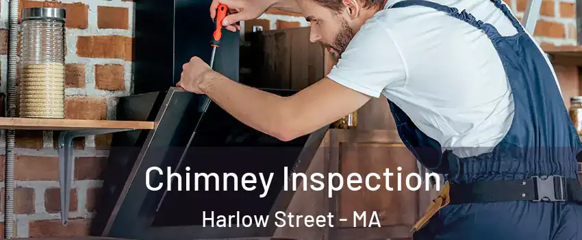 Chimney Inspection Harlow Street - MA