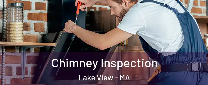 Chimney Inspection Lake View - MA