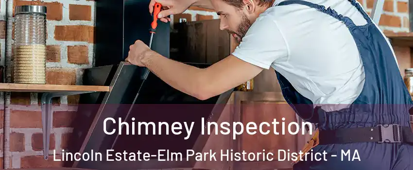 Chimney Inspection Lincoln Estate-Elm Park Historic District - MA