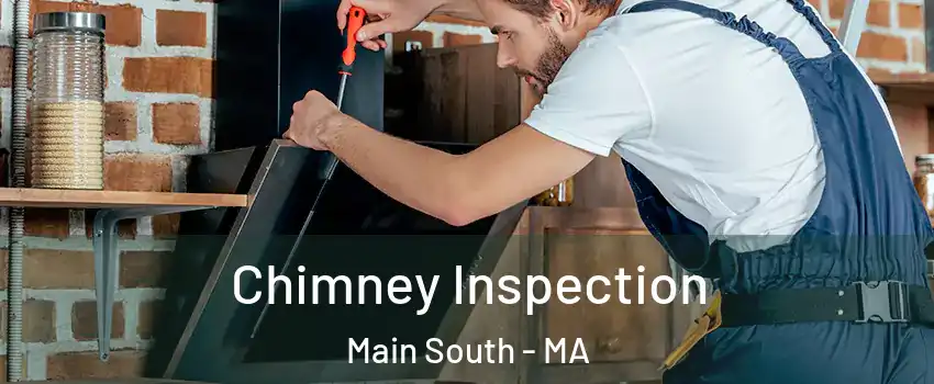 Chimney Inspection Main South - MA