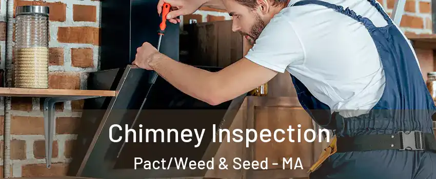 Chimney Inspection Pact/Weed & Seed - MA