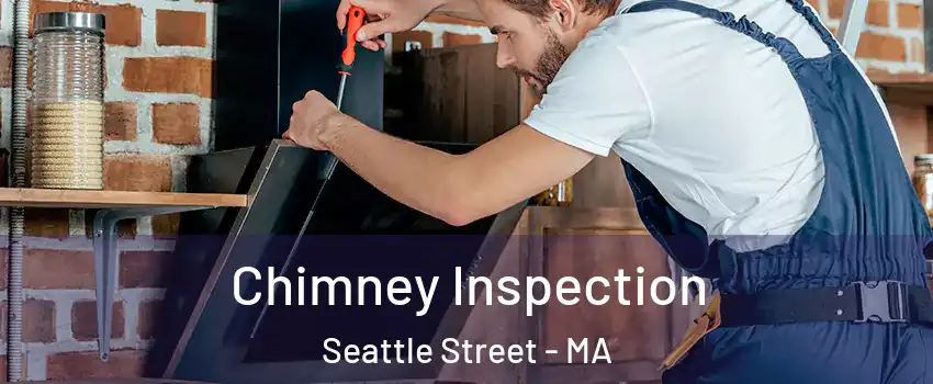 Chimney Inspection Seattle Street - MA