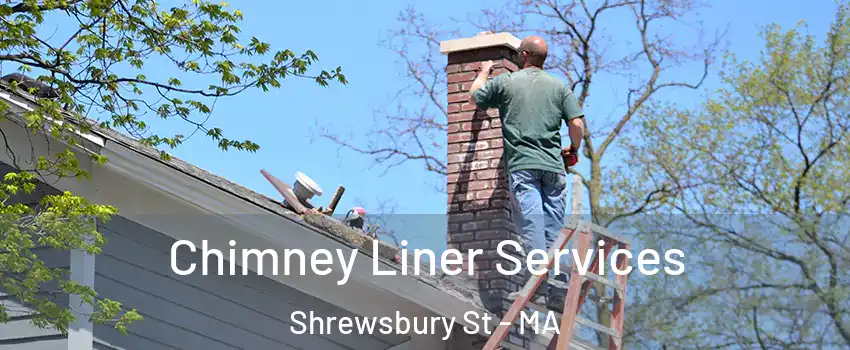 Chimney Liner Services Shrewsbury St - MA