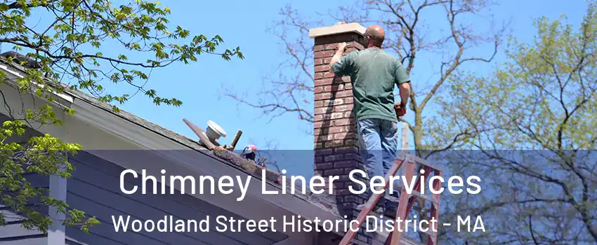 Chimney Liner Services Woodland Street Historic District - MA