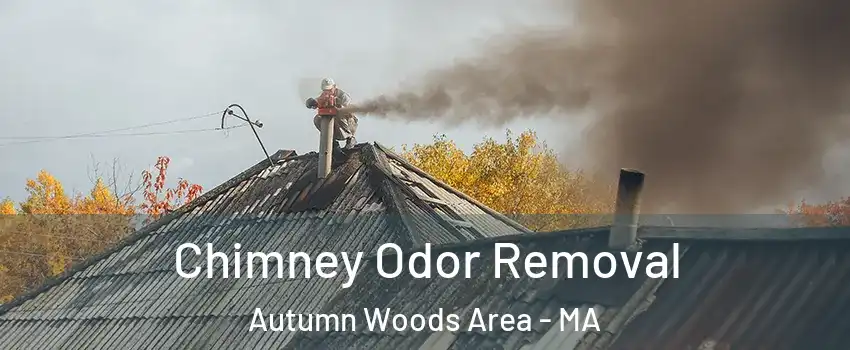 Chimney Odor Removal Autumn Woods Area - MA